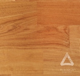 New England Blackbutt